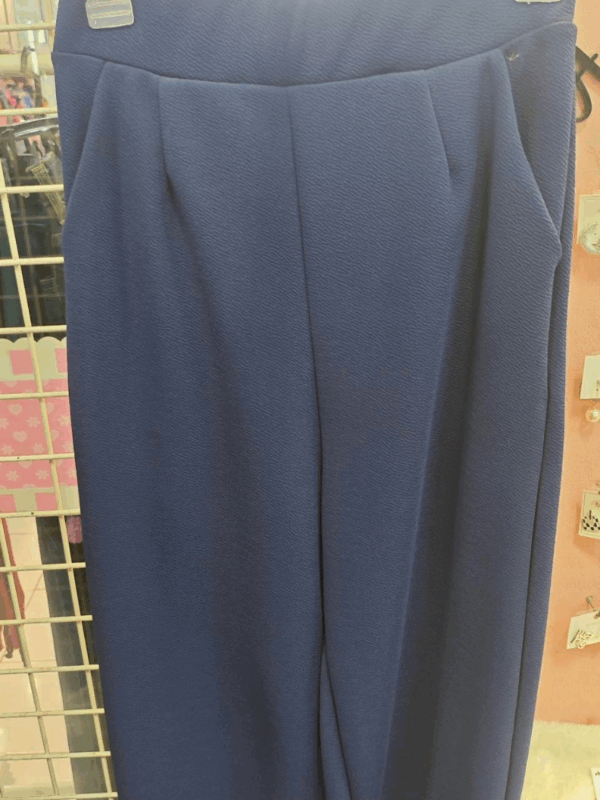 13 blue pant clothes