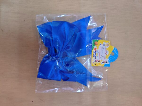 IMG_20250702_163823 blue bow